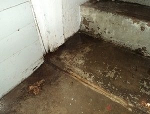 basement waterproofing Iowa, foundation repair IA, Carroll, Council Bluffs, Sioux City, Red Oak